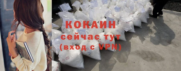 спиды Магас