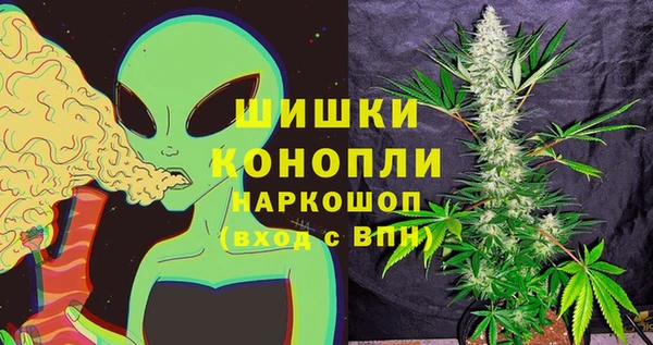 гидра Майский