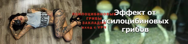 сатива Куйбышев