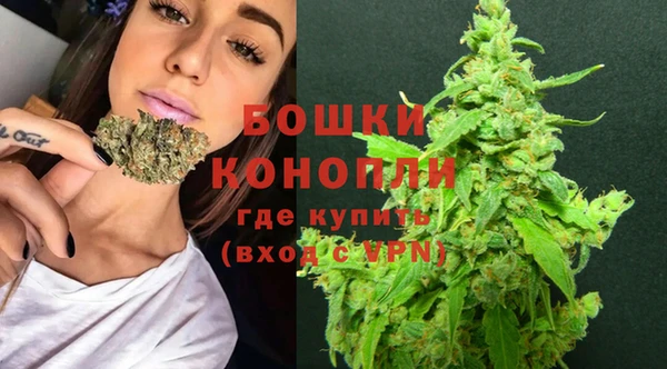 гидра Майский