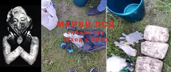 гидра Майский
