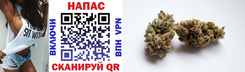 Купить  Зверево  Канабис LSD WEED 